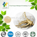 100% Natural Chines Panax ginseng berry extract